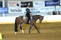 AJB_3898