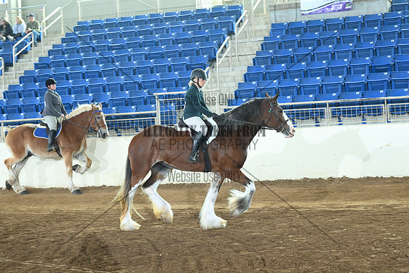 AJB_8118