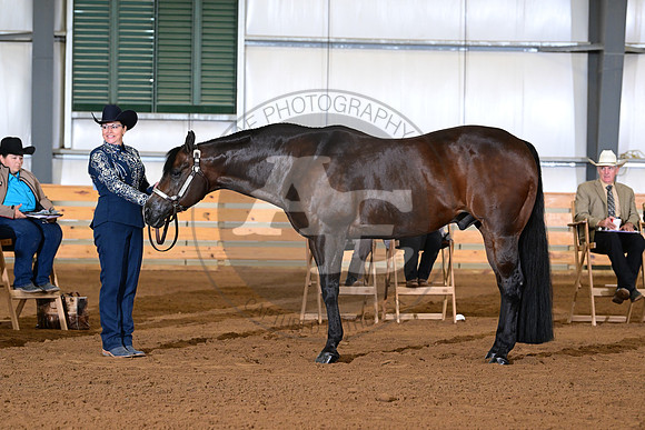AJB_0935