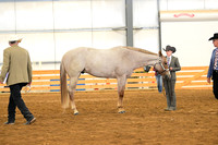 AJB_2217