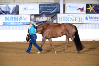 19. Performance Mares