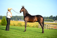 AJB_0514