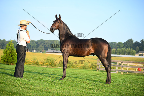 AJB_0514