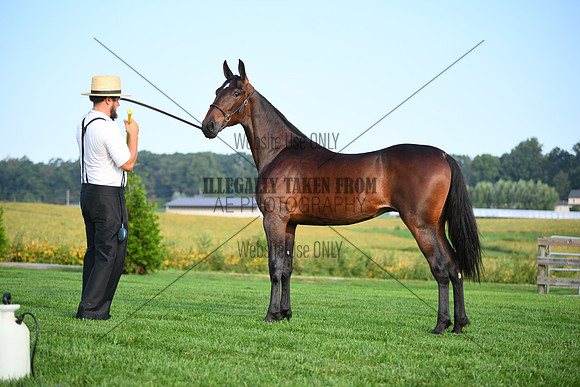 AJB_0605