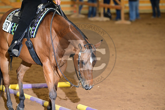 AJB_8035