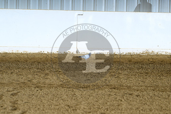 AJB_0211