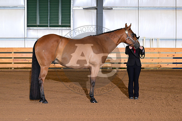 AJB_0106