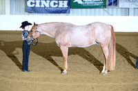AJB_2013