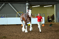 AJB_6192