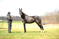file_431259723264