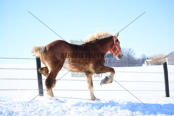 file_177256529920
