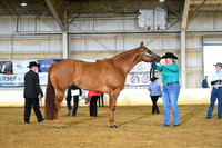 AJB_2011