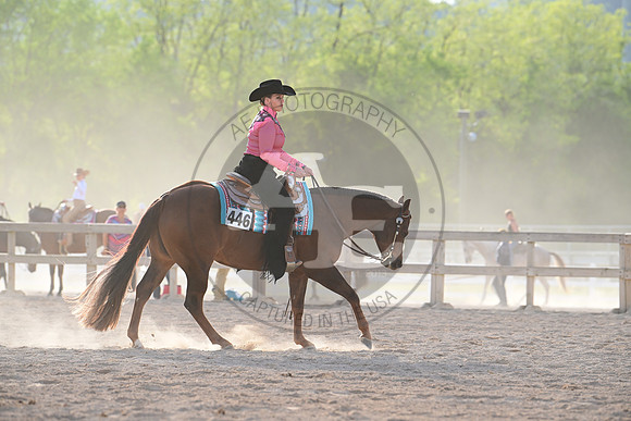 AJB_0419