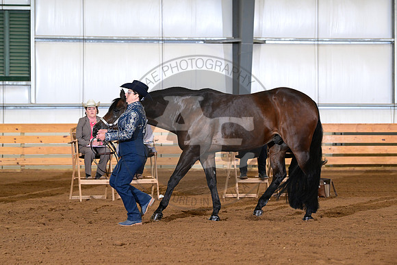 AJB_0933