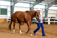 AJB_5838