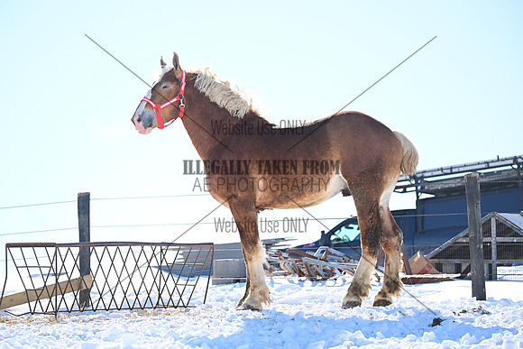 file_177383407616
