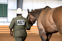 AJB_0836