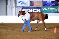 23. Amatuer 2 Year Old Mares
