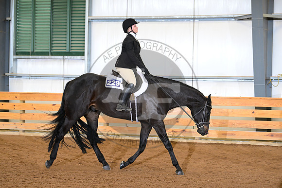 AJB_3241
