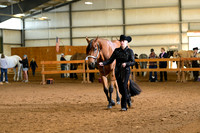 AJB_0993