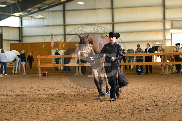 AJB_0993