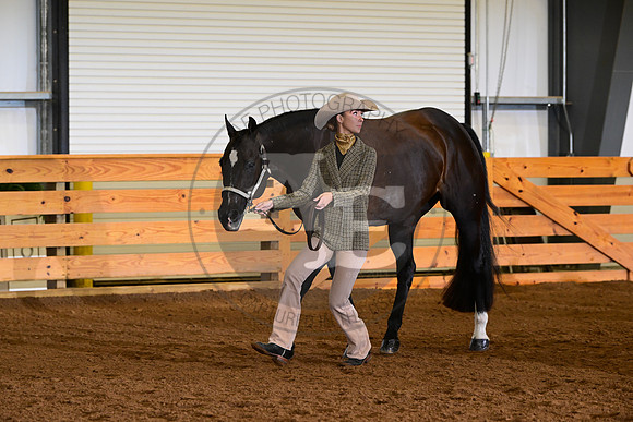 AJB_0146