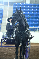 AJB_5616