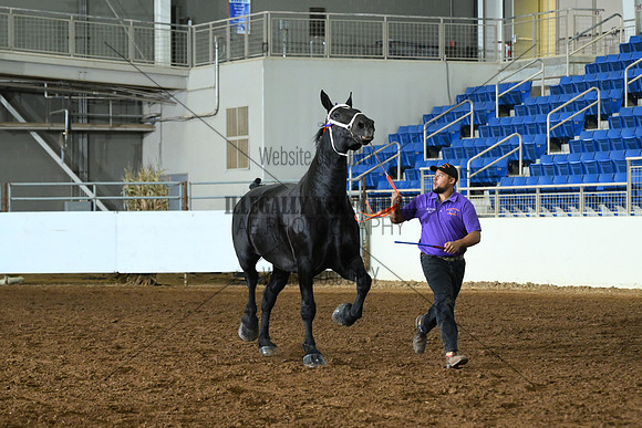 AJB_4972