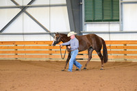 18. Open 3 Year Old Mares