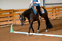 AJB_3539