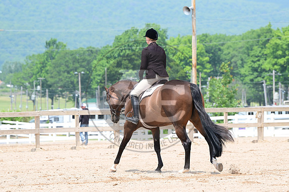 AJB_6181