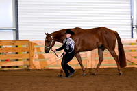 AJB_0197