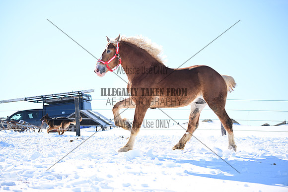file_177350901760