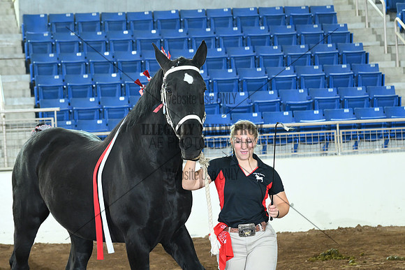 AJB_7438