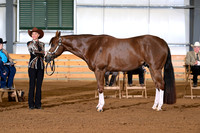 AJB_0885