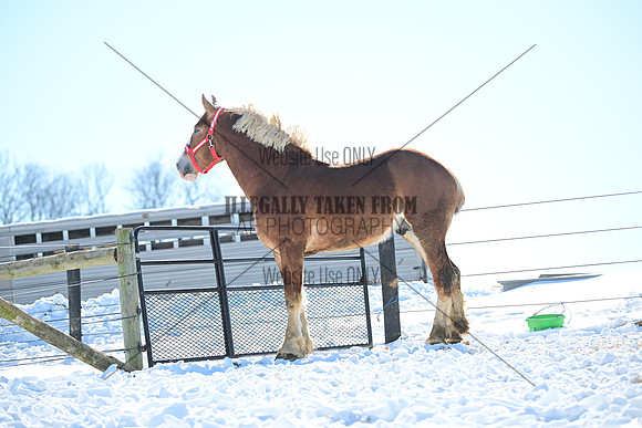 file_177310007296