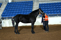 AJB_4951