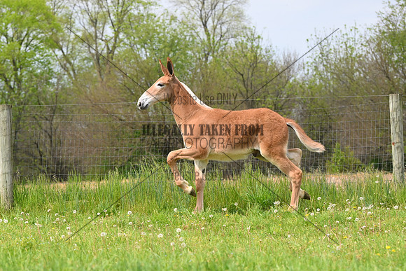 file_285670988800
