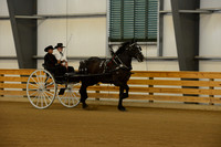 Sr. Youth Cart-11