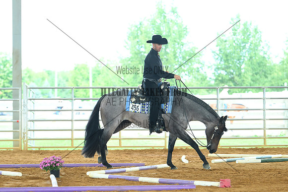 AJB_2419