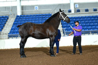 AJB_4831