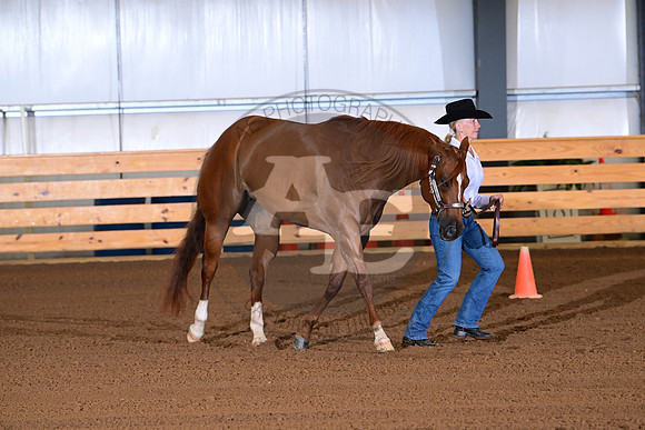 AJB_0047