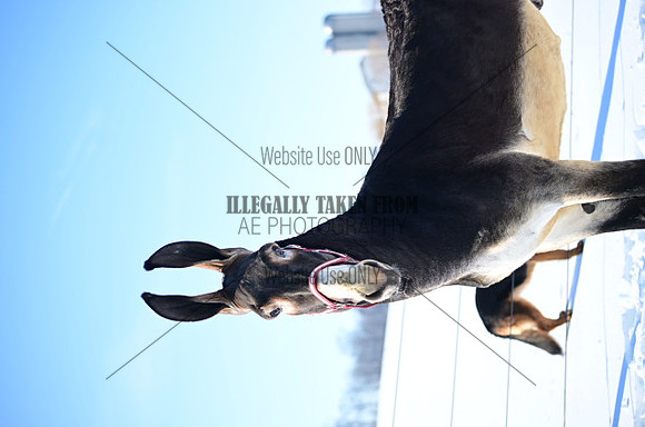 file_177163794944