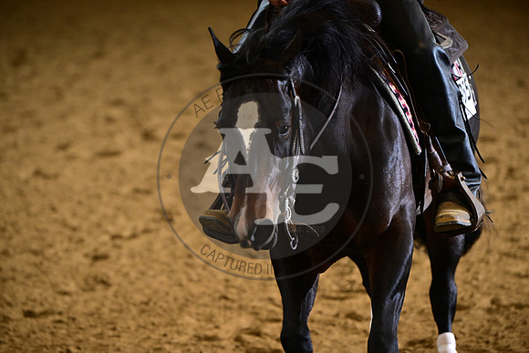 AJB_0478
