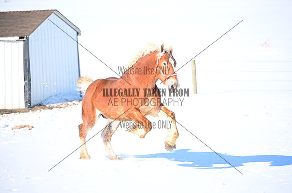 file_177217101824