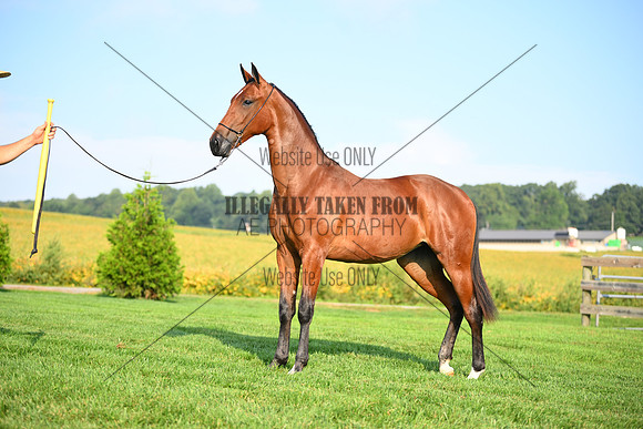 AJB_0740