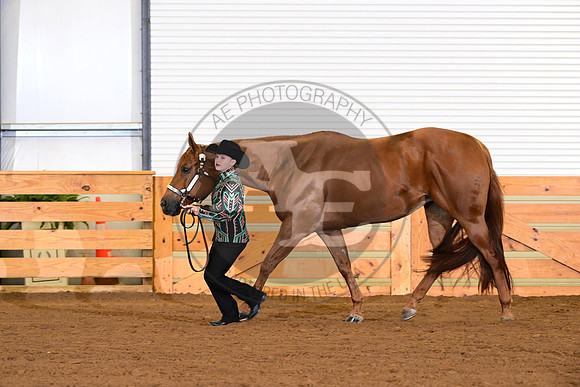 AJB_0226