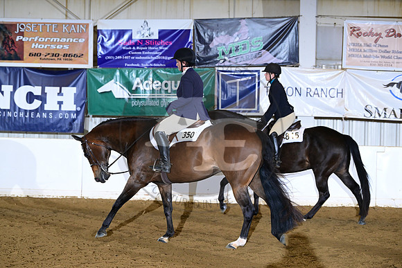 AJB_2306