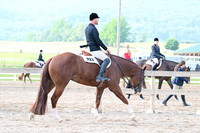 AJB_6629