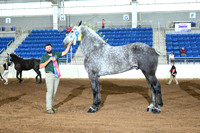 AJB_4929